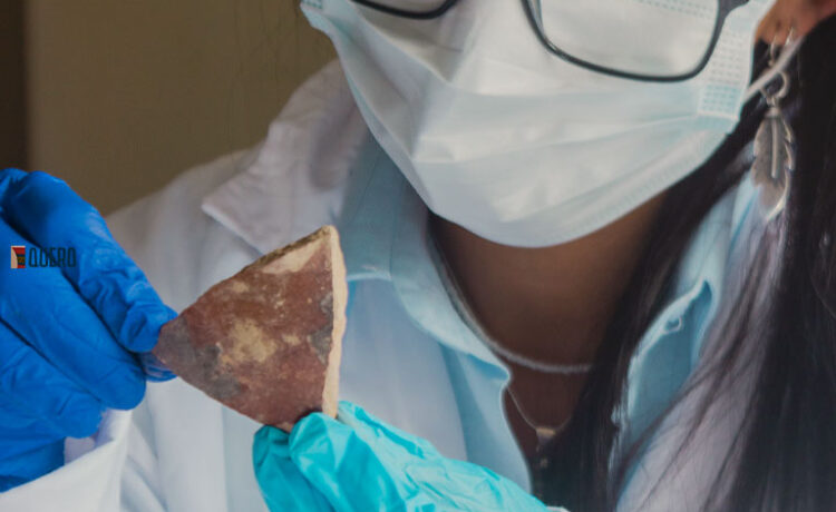 Gestión de exportación de muestras arqueológicas con fines científicos ante el Ministerio de Cultura del Perú