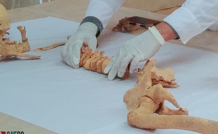 Investigación arqueológica y puesta en valor de patrimonio prehispánico en Perú — PIA y PRIA